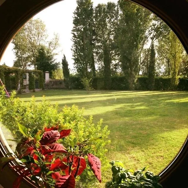 Holiday home Podere Venanzio Lido di Camaiore